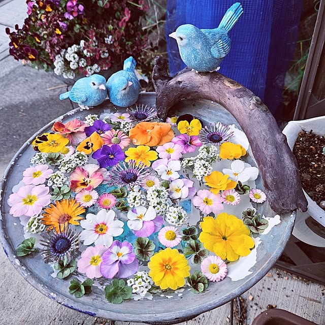 mocomocoさんの実例写真