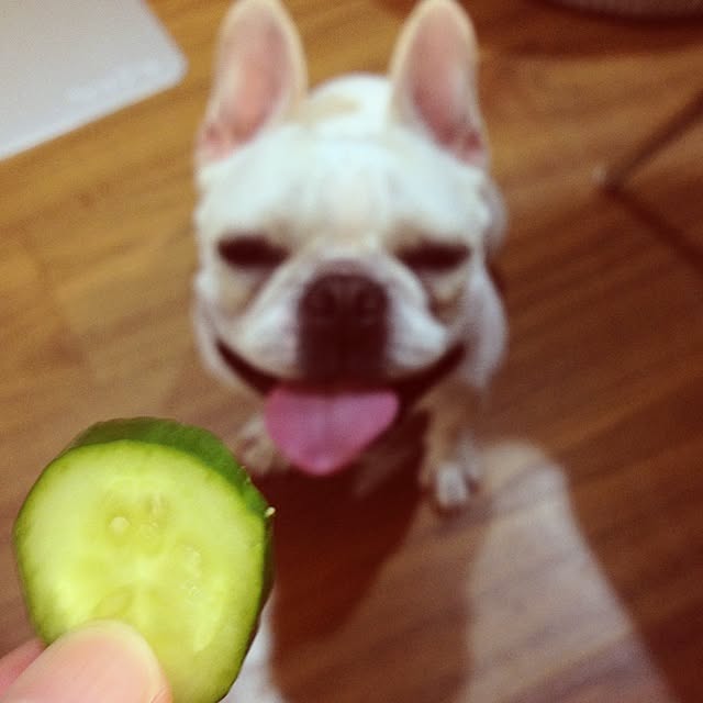 Komanechi.aさんの実例写真