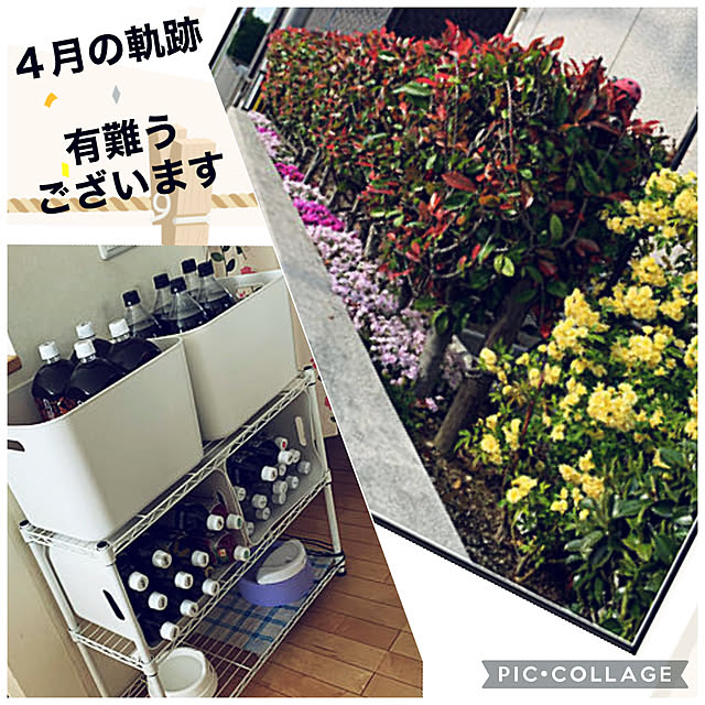 yukarin-gardenさんの実例写真