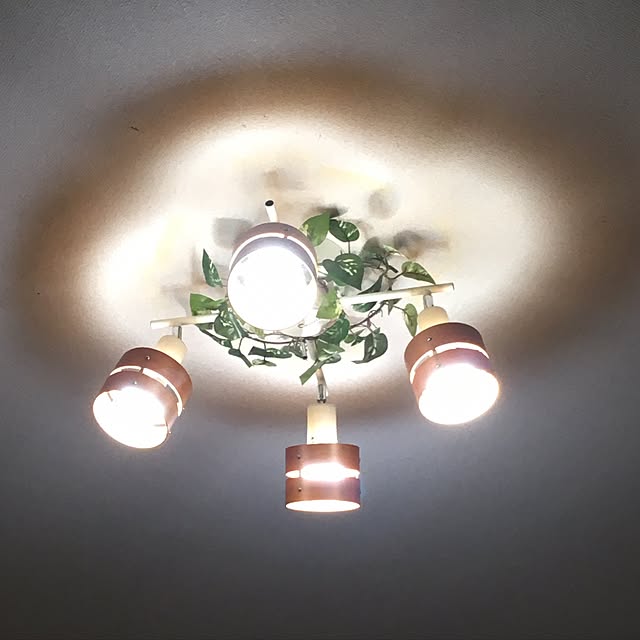 Pipiさんの実例写真