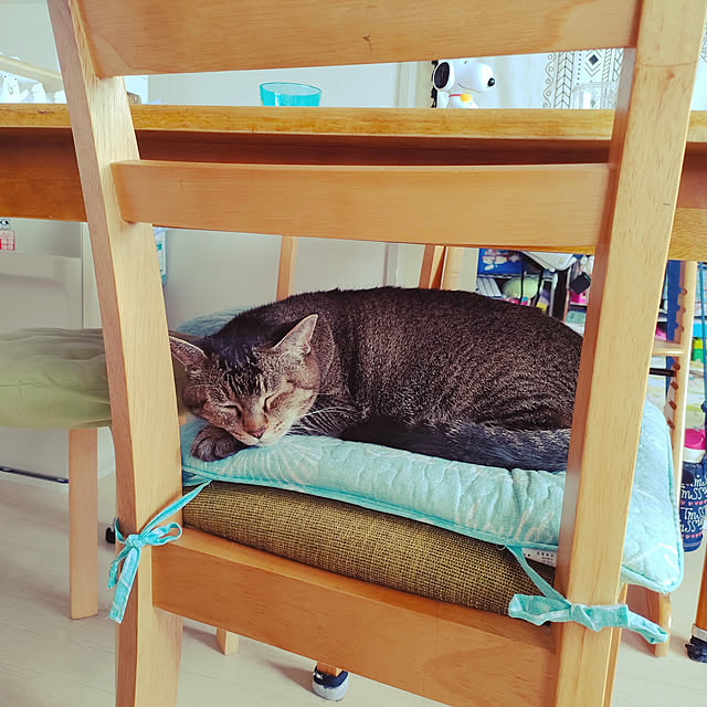 cocomintさんの実例写真
