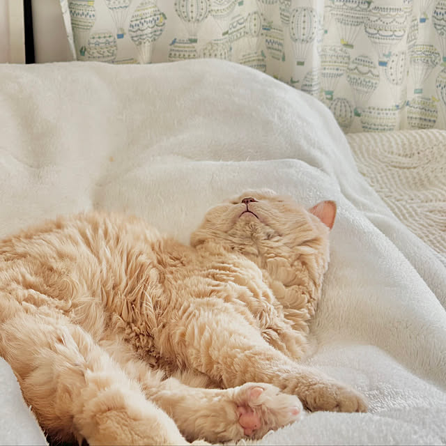 naokoさんの部屋