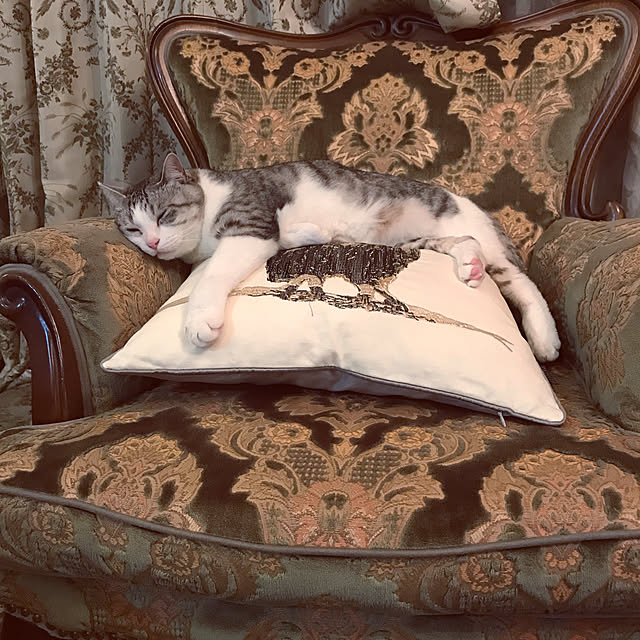 emmyyさんの実例写真