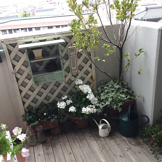 leonaさんの実例写真