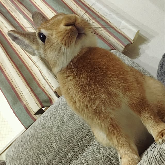 Tomoさんの実例写真