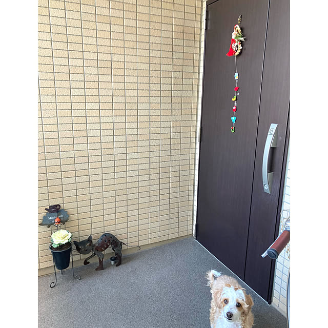 marukoさんの部屋