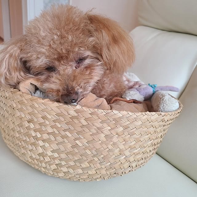 yumi.grandsaisonさんの部屋