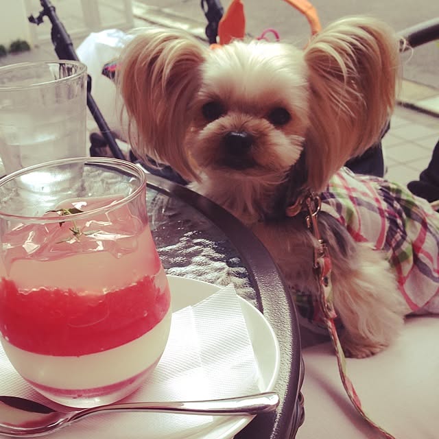 yuchinさんの実例写真