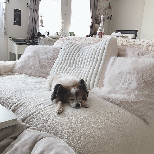 hiroさんの実例写真