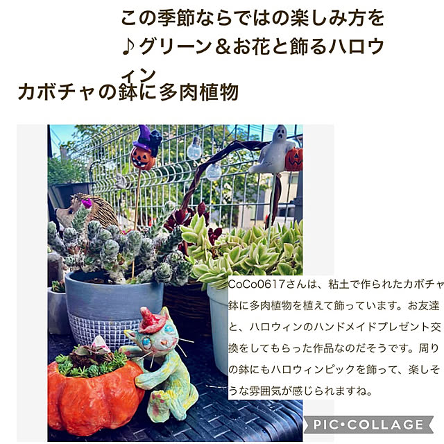 CoCo0617さんの実例写真