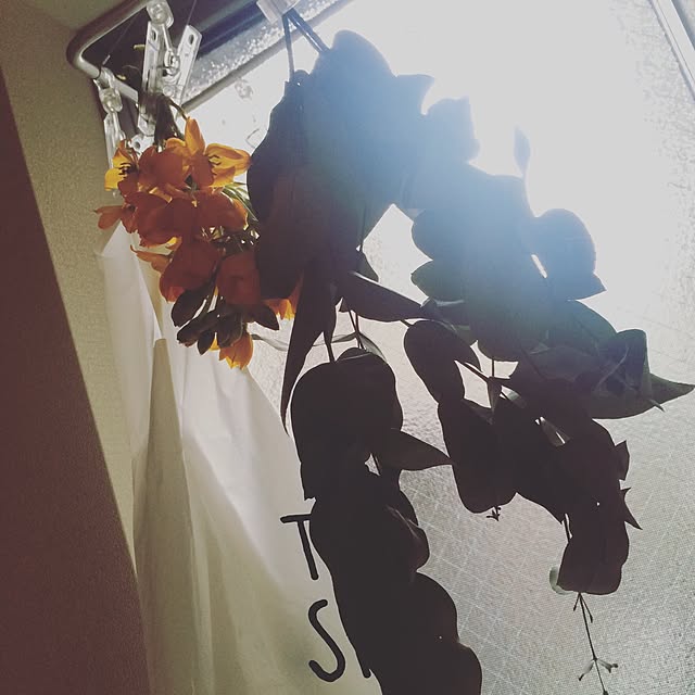 mari727さんの実例写真