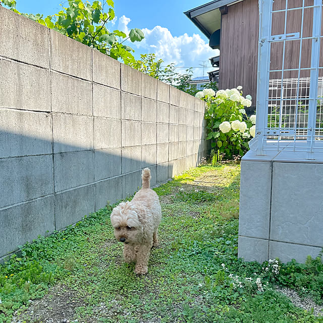 tintinさんの部屋