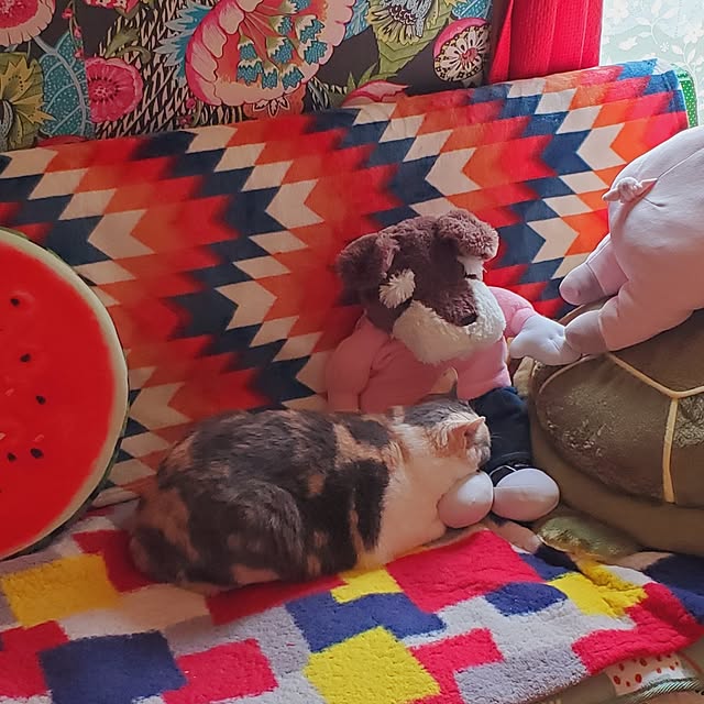 kumutanさんの実例写真