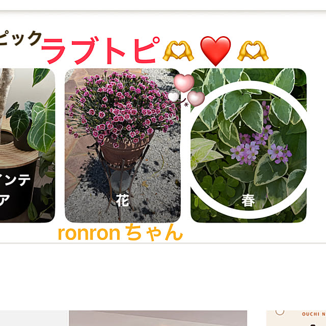 ritsukoさんの実例写真