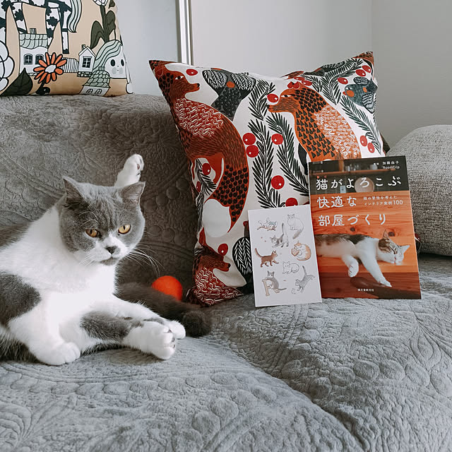 KEIKOさんの実例写真