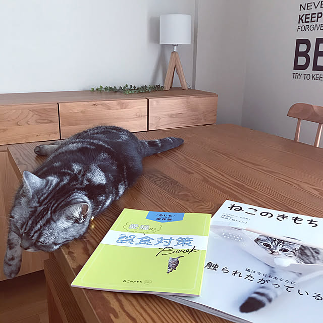 hiyupan88さんの実例写真
