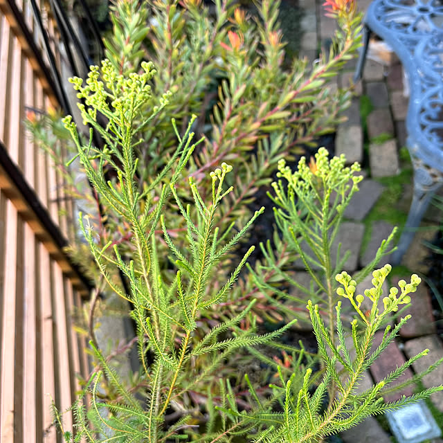 kyoko1124koさんの部屋