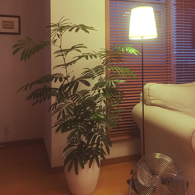 megさんの実例写真