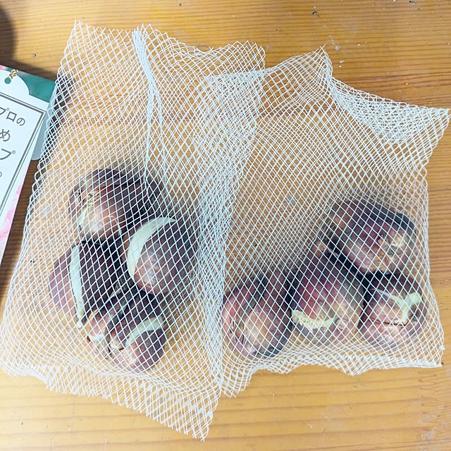 Shion+さんの部屋