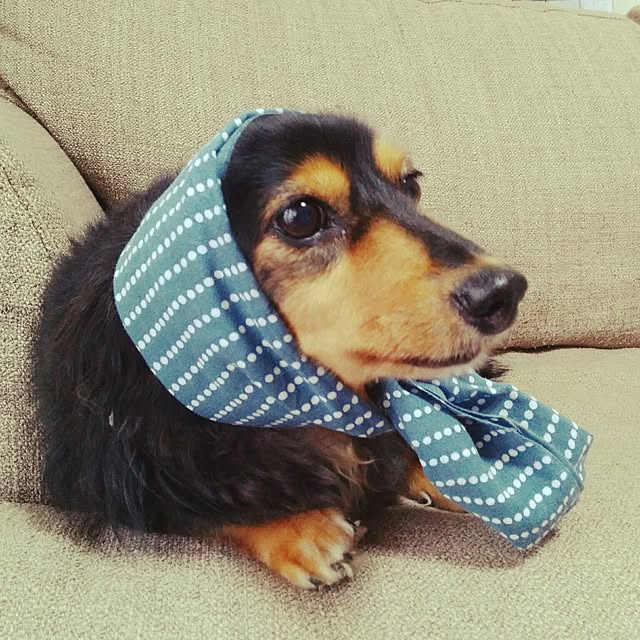 mayuさんの実例写真