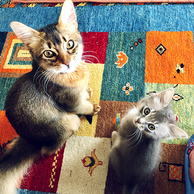 paradise_viewさんの実例写真