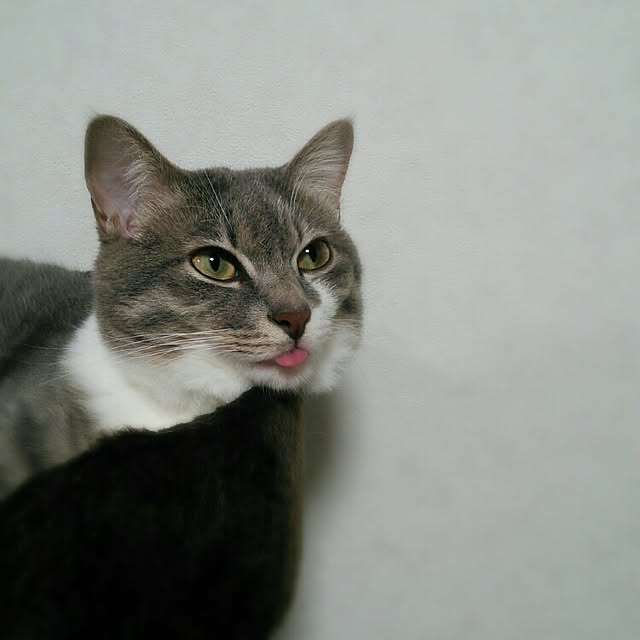 lovepandaさんの実例写真