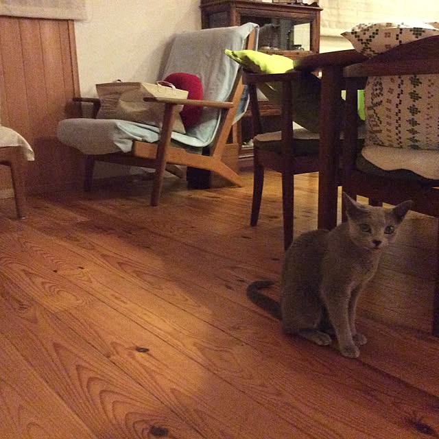Chieさんの実例写真