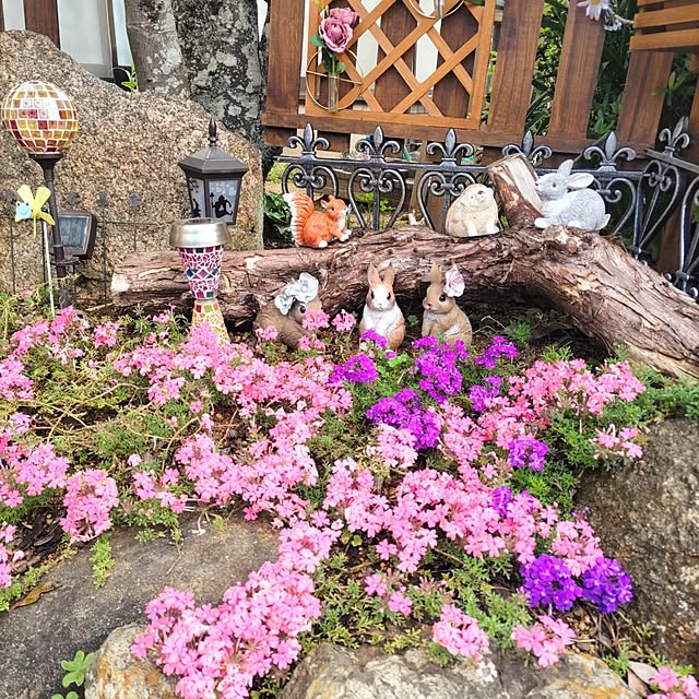 Rinさんの部屋