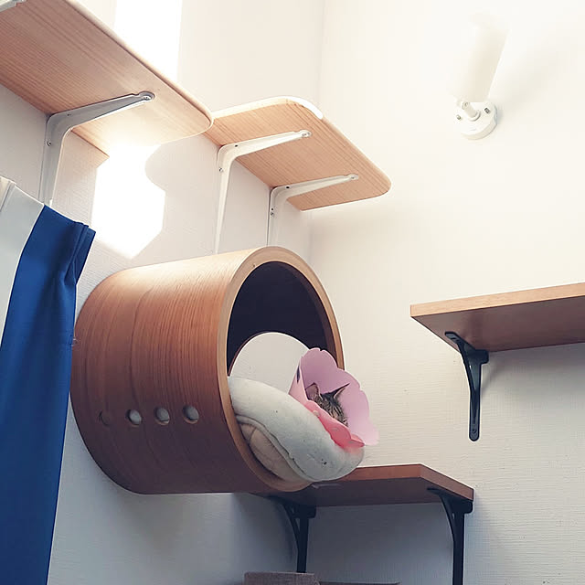 mochicoさんの実例写真
