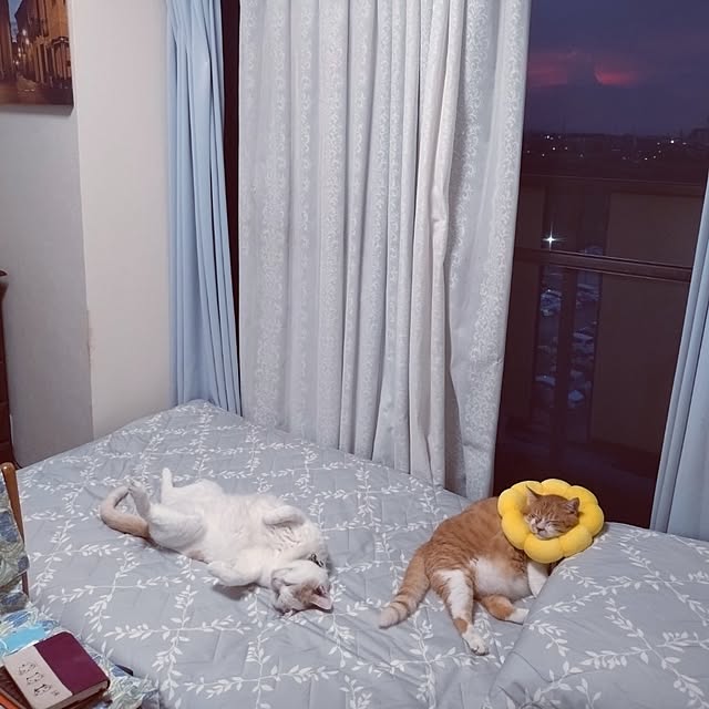 NOAHさんの部屋