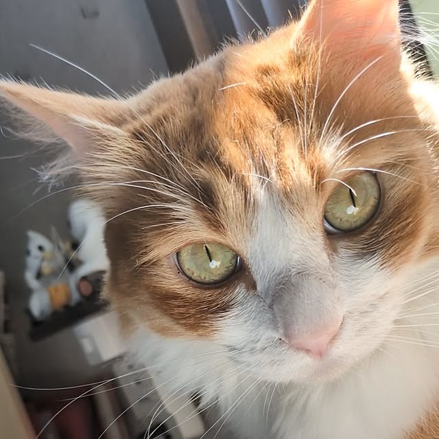 mori_6_12さんの実例写真