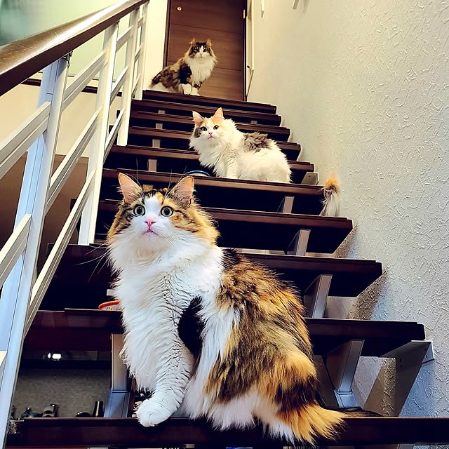 akiko6193さんの部屋