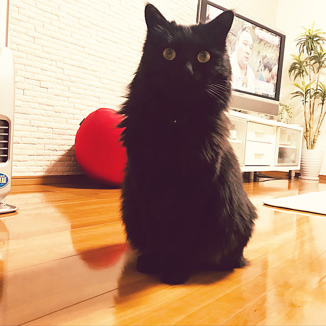minamiさんの実例写真