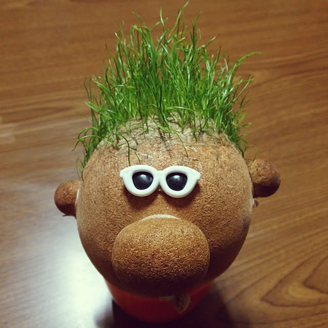 kazuminさんの実例写真