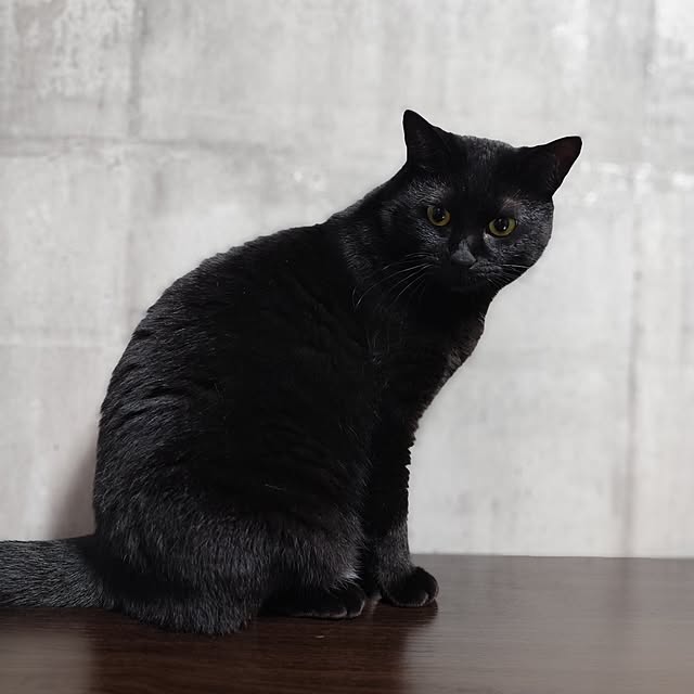 zm3443さんの部屋