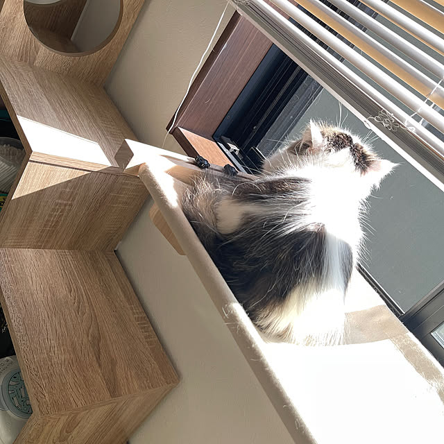 nyannyanさんの実例写真