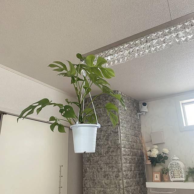 mii_home_39さんの実例写真