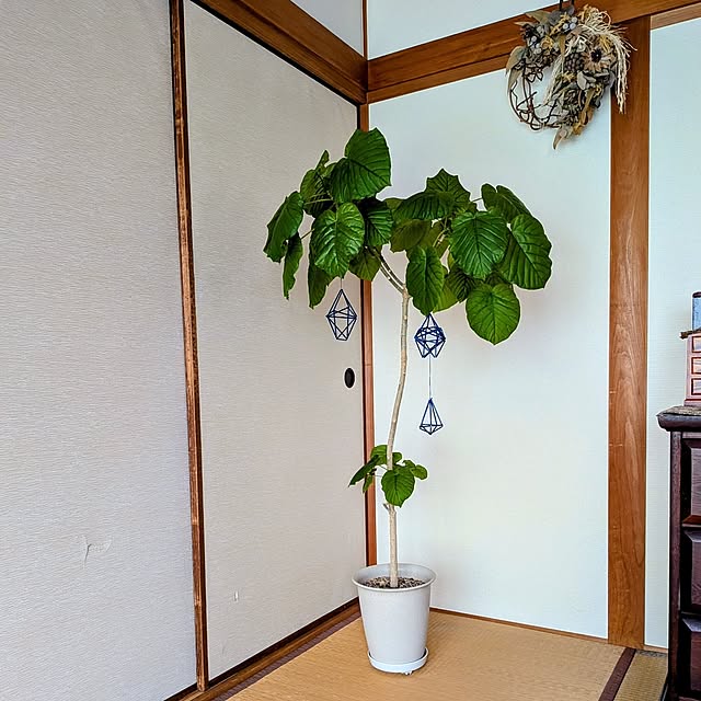 Renさんのお部屋の写真