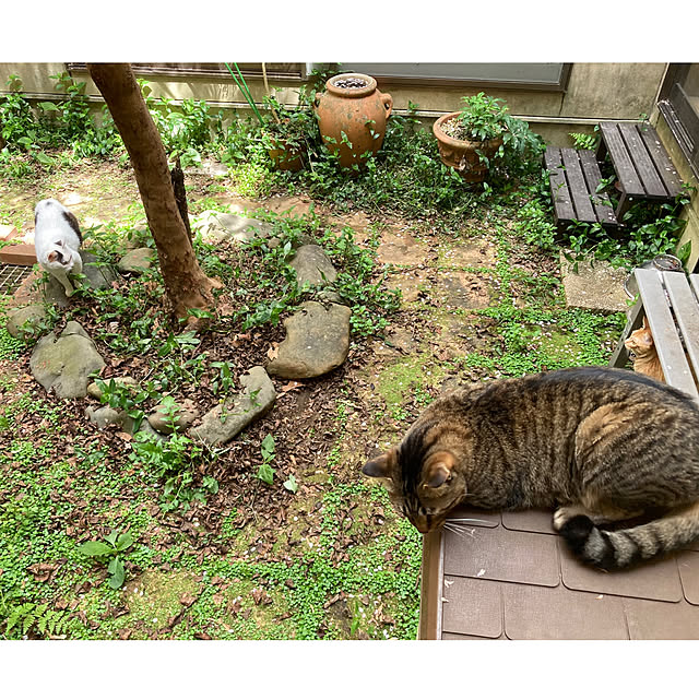 miseiさんの実例写真