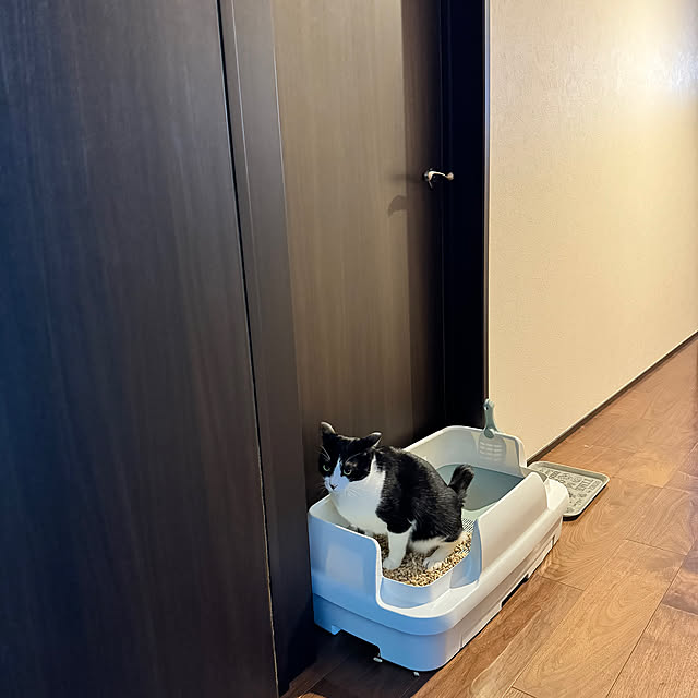 porinさんの実例写真