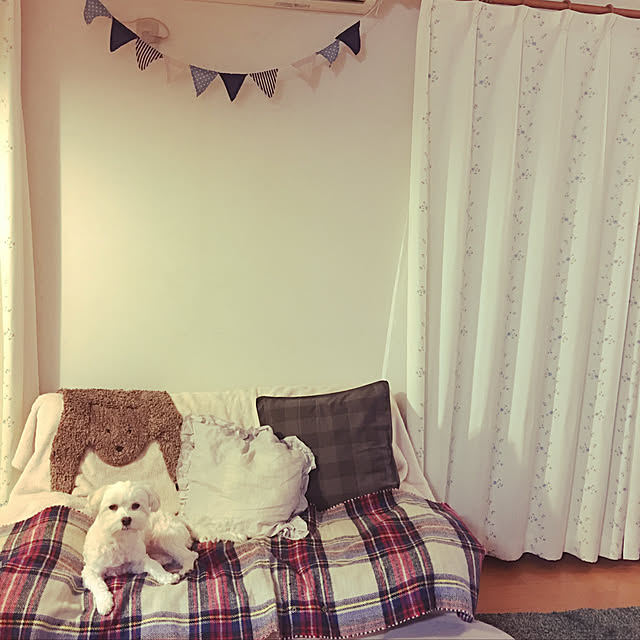 momoさんの実例写真