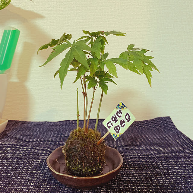 mammie6235さんの実例写真