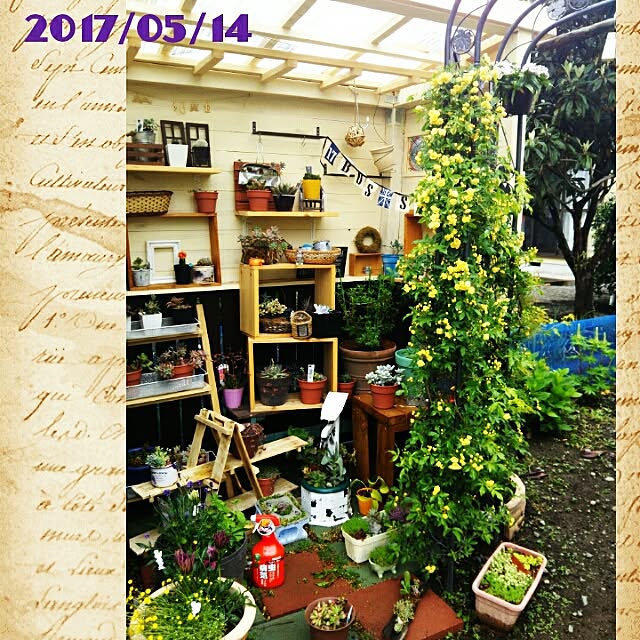 bousuke.215112さんの実例写真