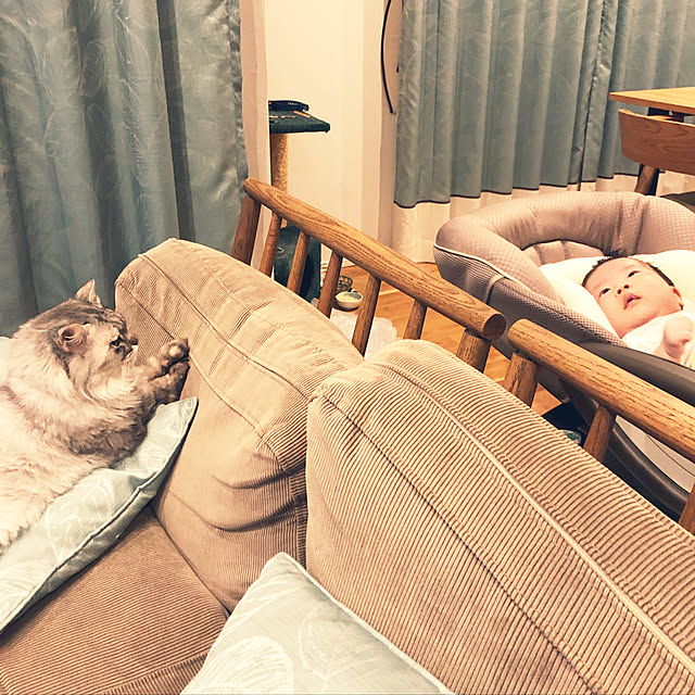 モモナチュラル/リビング/赤ちゃんのいる暮らし/あかちゃんのいる部屋/猫のいる暮らしのインテリア実例 - 2019-07-13 00:36:57