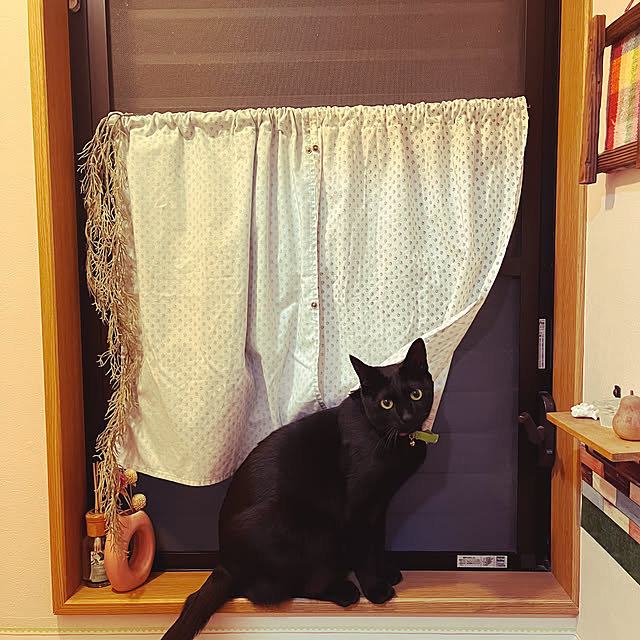 jijiさんの部屋