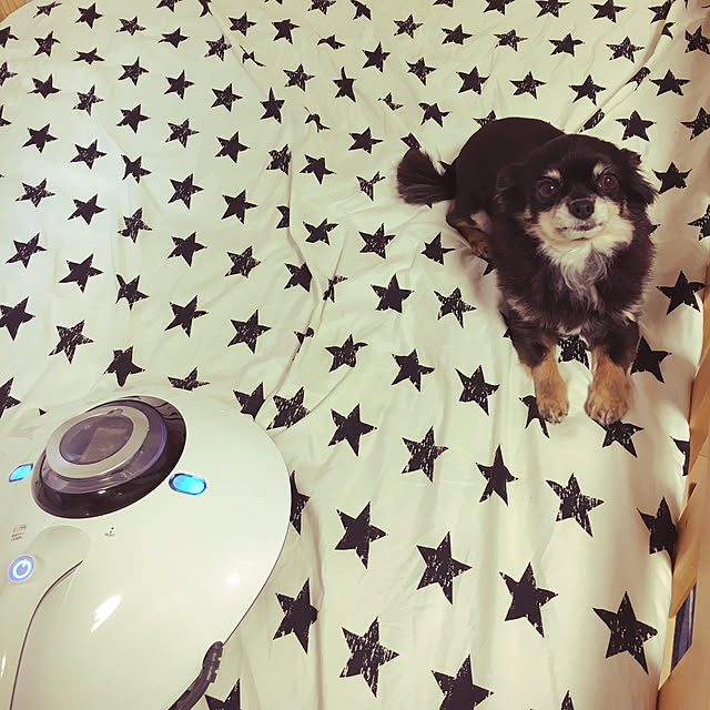 cocoさんの実例写真