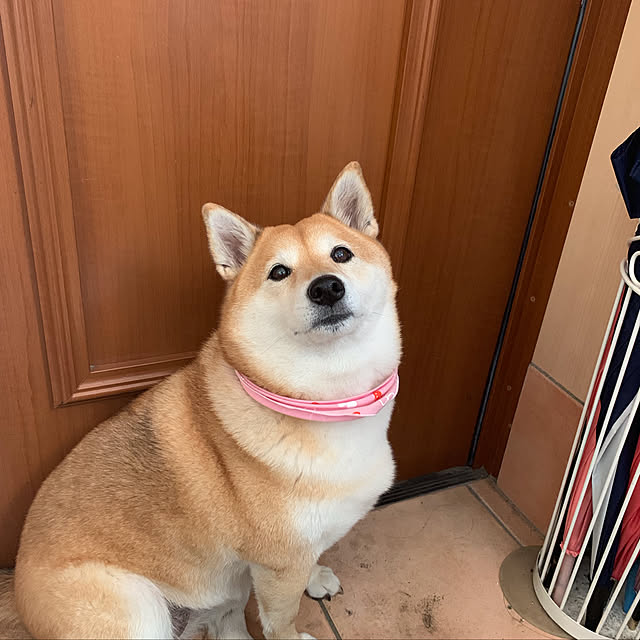 yukarinさんの実例写真