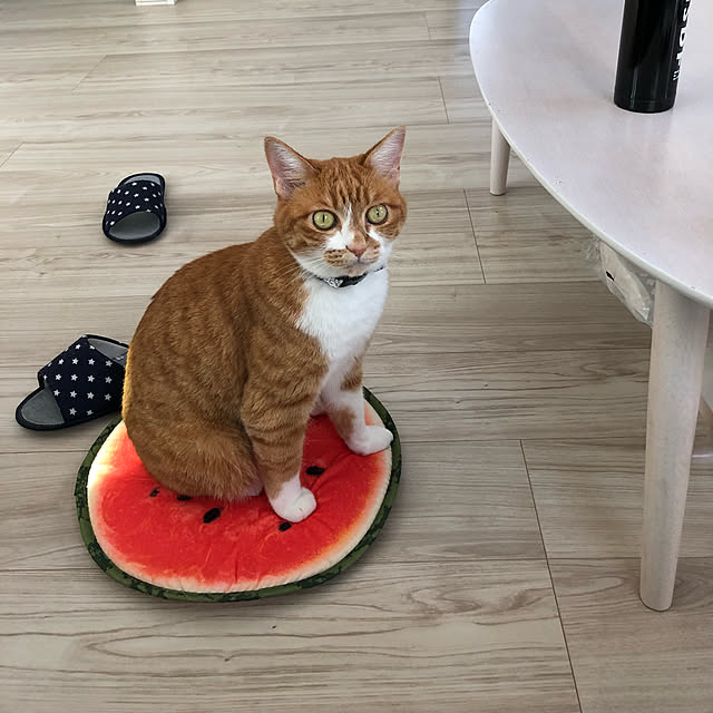 myuuさんの実例写真
