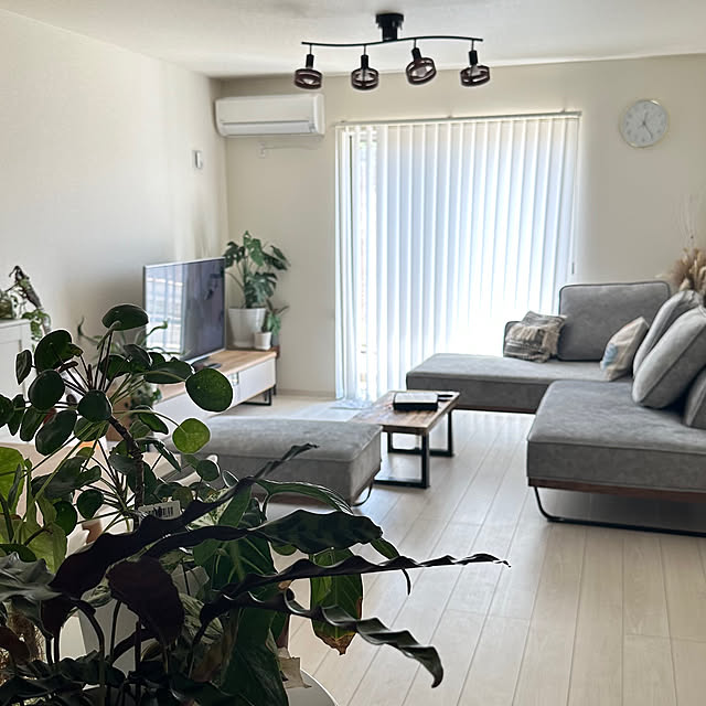 Juliさんの部屋