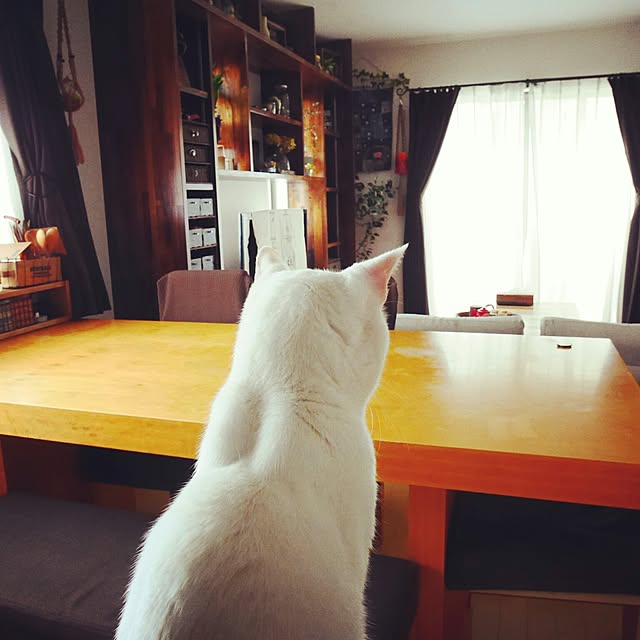 andante365さんの実例写真